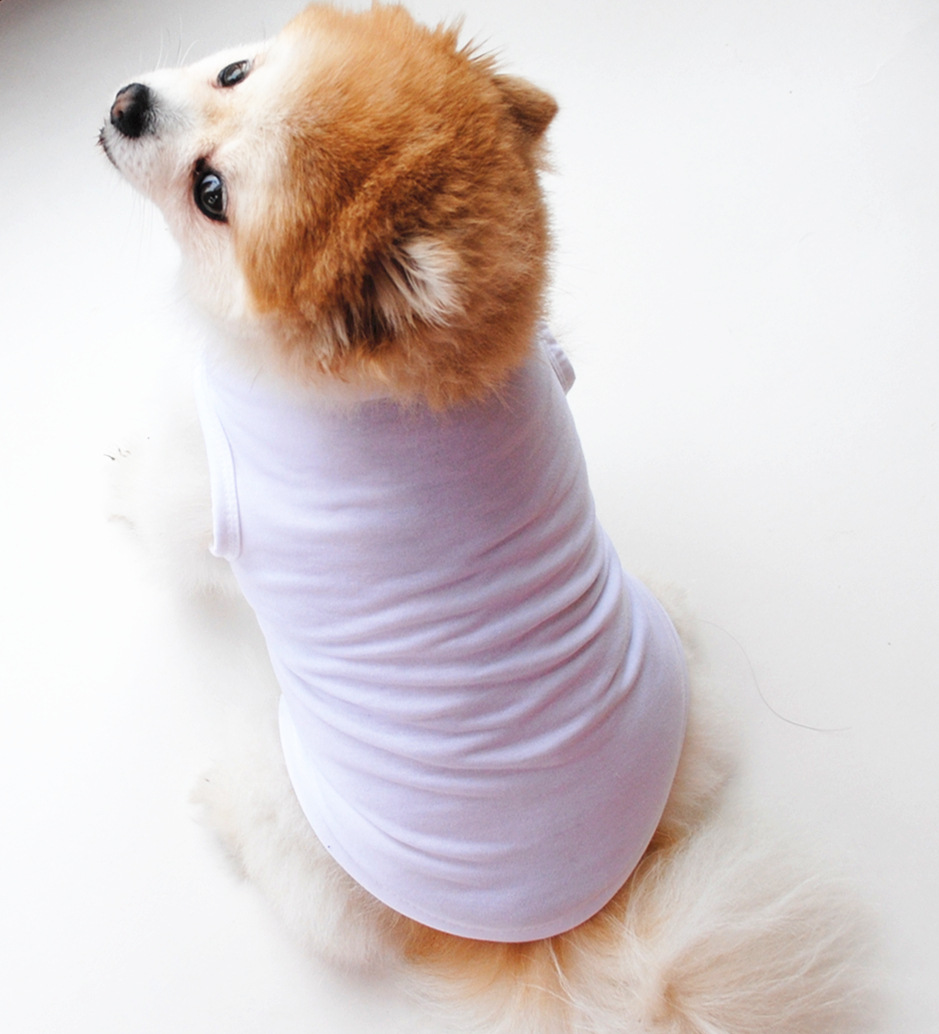 Title 19, Solid Color Dog Vest T Thin White Edition, offe...