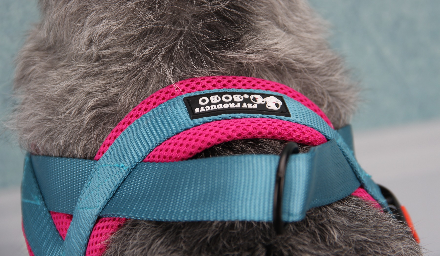 Title 4, Chest and Back Pet Chains, Collars, Leashes. Es...