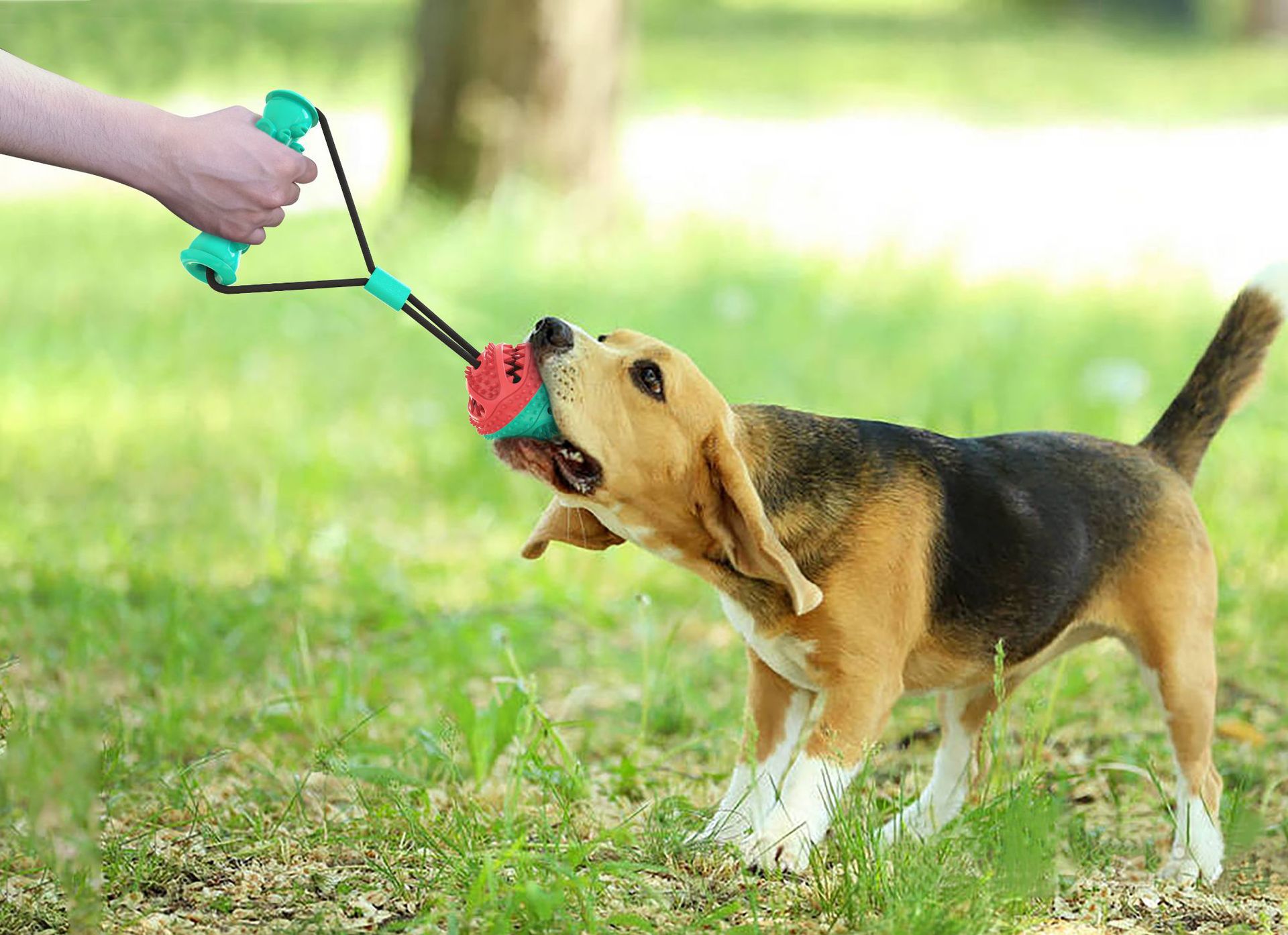 Title 1, Jouet pour animaux de compagnie corde à tirer e...