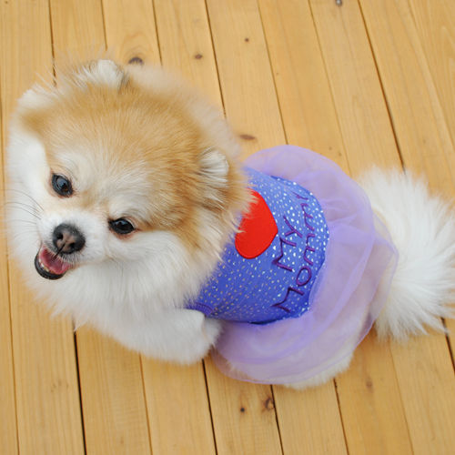 Title 10, Embroidered puppy clothes. Dress your puppy in ...