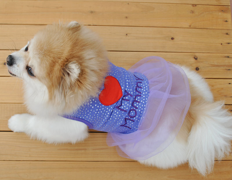 Title 11, Puppykleding met borduursel. Kleed je puppy in ...