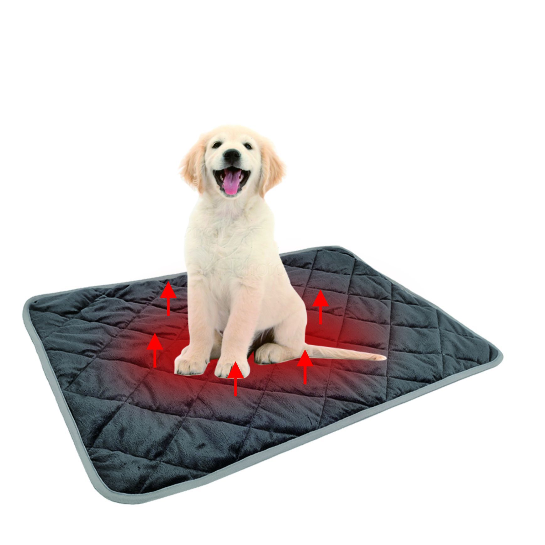 Title 2, Tapis Chauffant Doux pour Chiens dHiver Offrez...