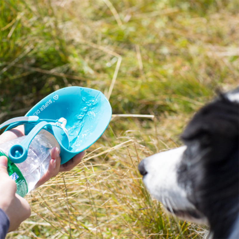 Title 7, Draagbare drinkbeker voor honden, waterfles voo...