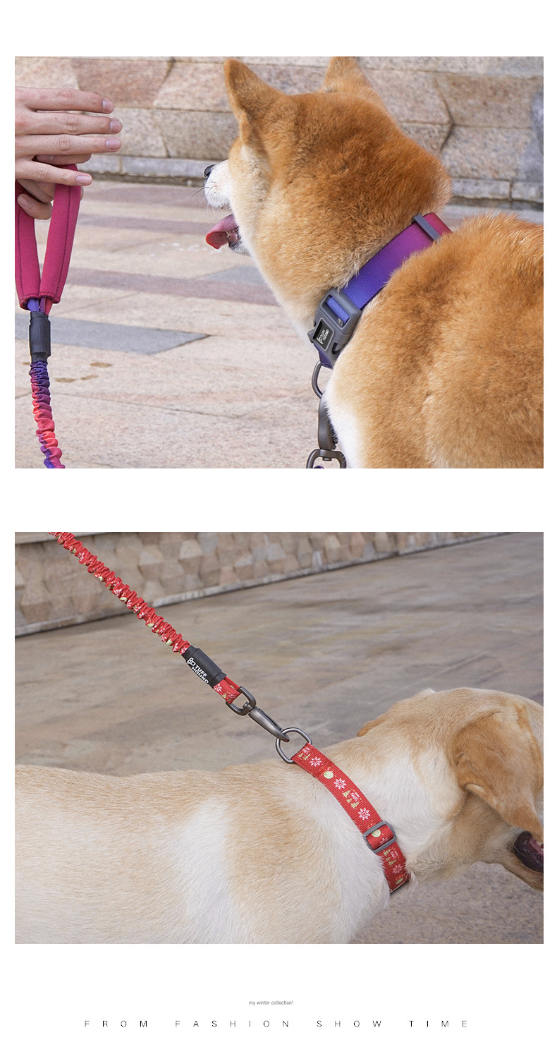 Title 2, Dog traction collar Enhanced control and safety...