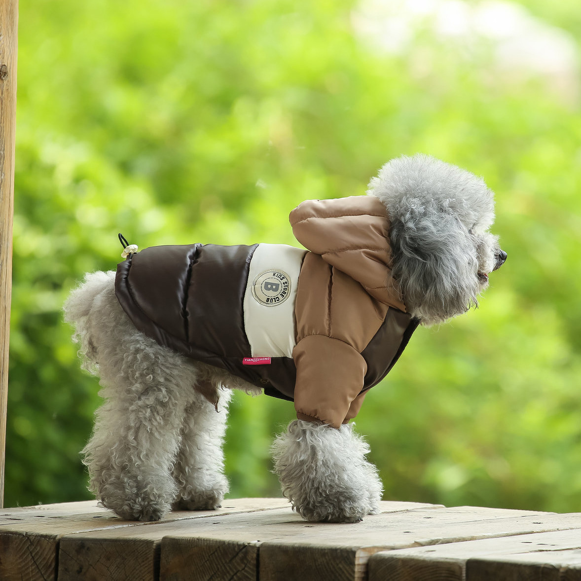 Title 14, Roupa quente para cães com duas pernas, acolcho...