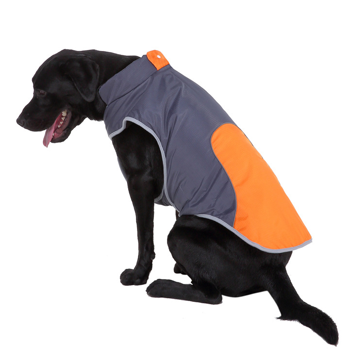 Title 8, Pet reflective jacket for enhanced safety durin...