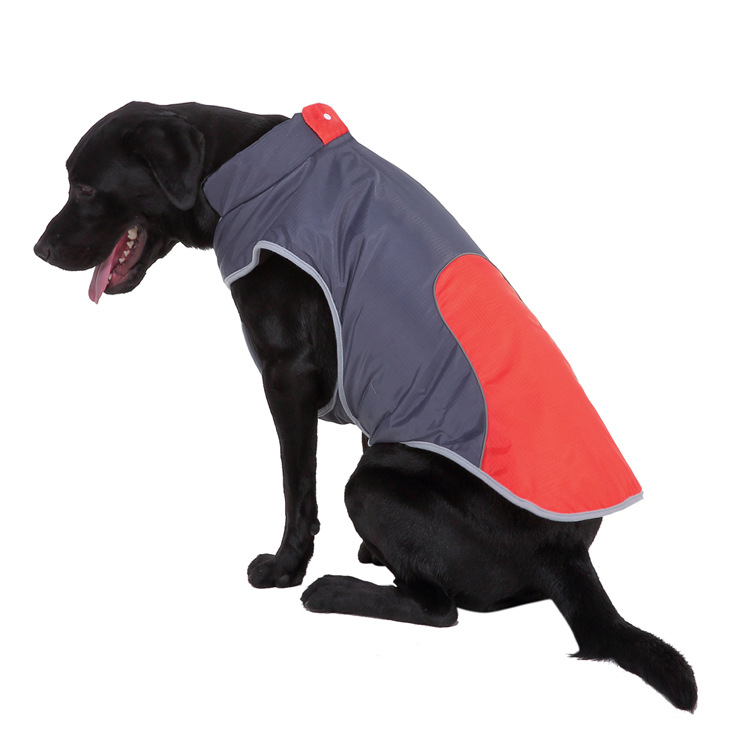 Title 20, Pet reflective jacket for enhanced safety durin...