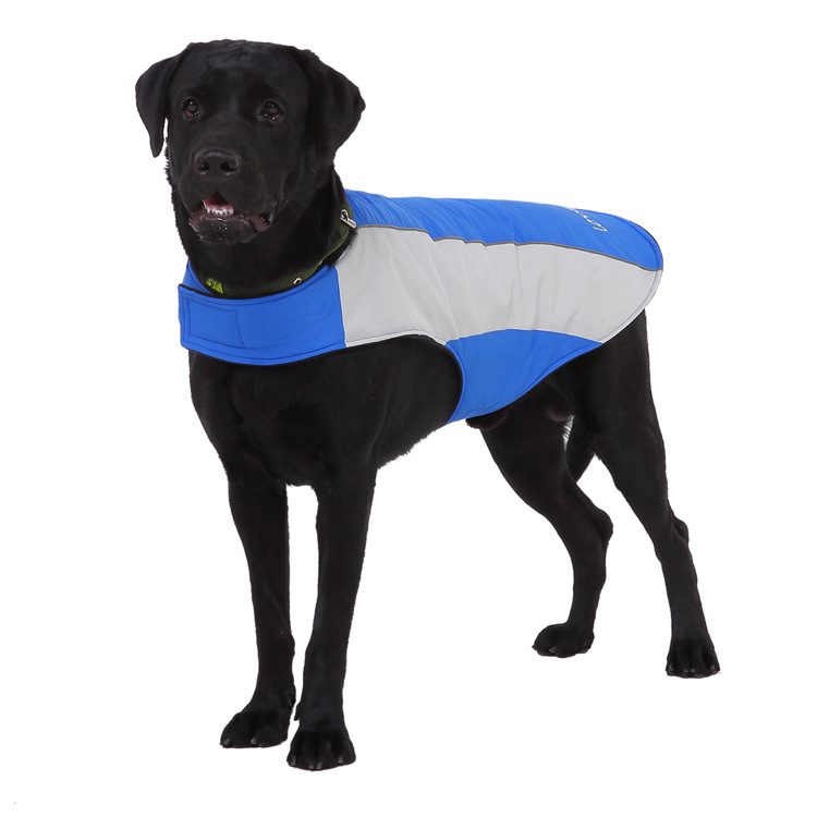 Title 1, Pet reflective clothes Keep your dog safe at ni...