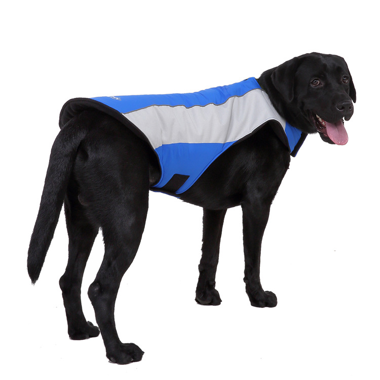 Title 2, Pet reflective clothes Keep your dog safe at ni...