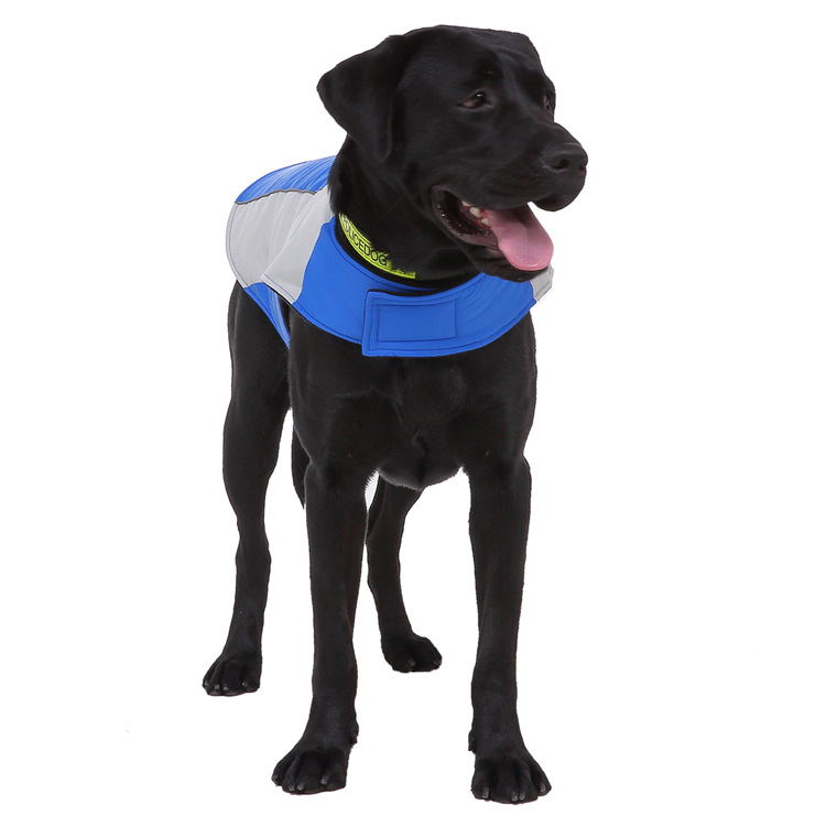 Title 4, Pet reflective clothes Keep your dog safe at ni...