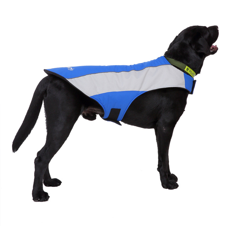 Title 5, Pet reflective clothes Keep your dog safe at ni...