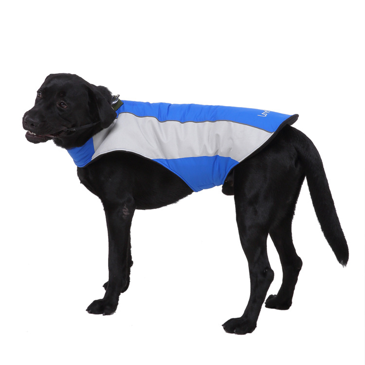 Title 6, Pet reflective clothes Keep your dog safe at ni...