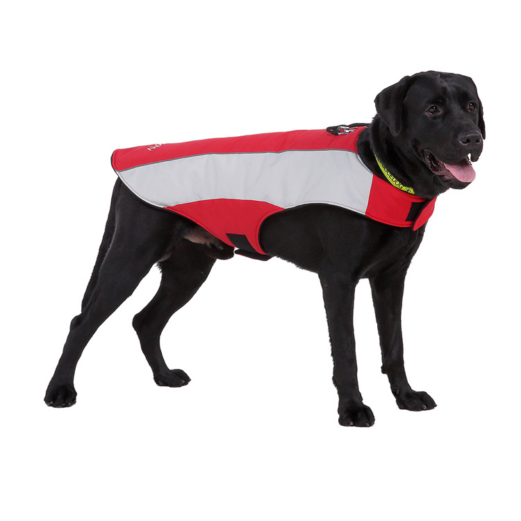 Title 15, Pet reflective clothes Keep your dog safe at ni...