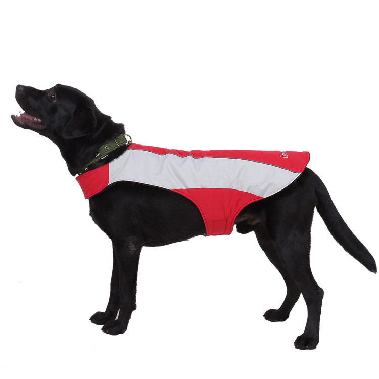 Title 16, Pet reflective clothes Keep your dog safe at ni...