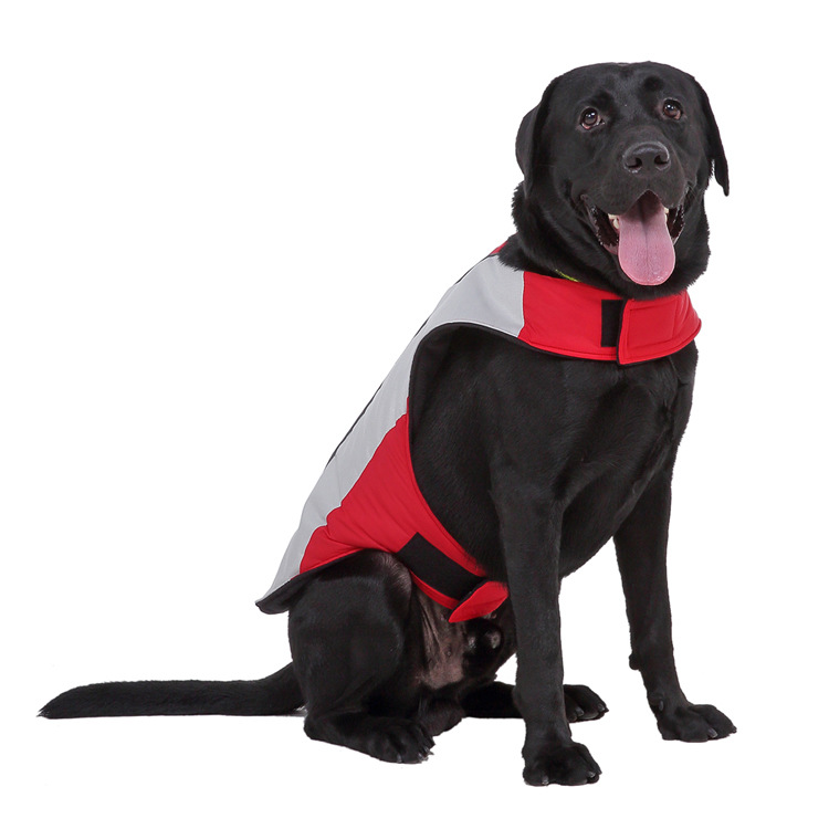 Title 17, Pet reflective clothes Keep your dog safe at ni...