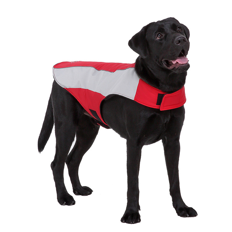 Title 19, Pet reflective clothes Keep your dog safe at ni...