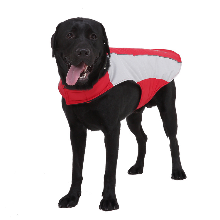 Title 20, Pet reflective clothes Keep your dog safe at ni...