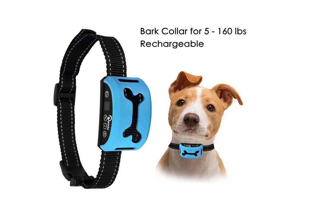 Title 1, Smart induction vibration rechargeable collar f...