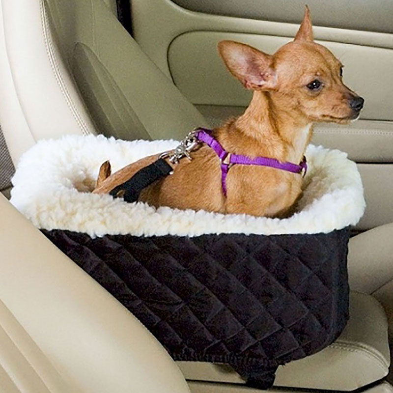 Title 2, Travel with your pet safely and comfortably wit...