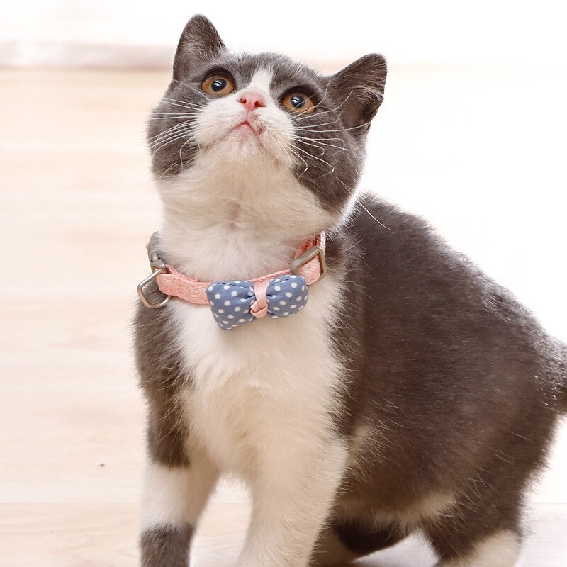 Title 1, Gentleman-Katzenhalsband mit Polka-Dot-Schleife...