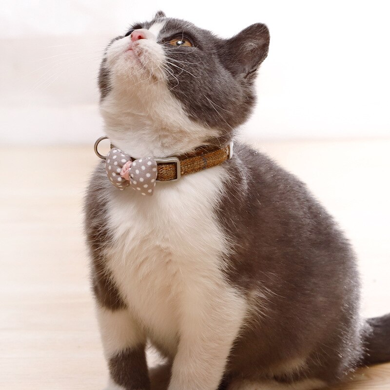 Title 4, Gentleman-Katzenhalsband mit Polka-Dot-Schleife...