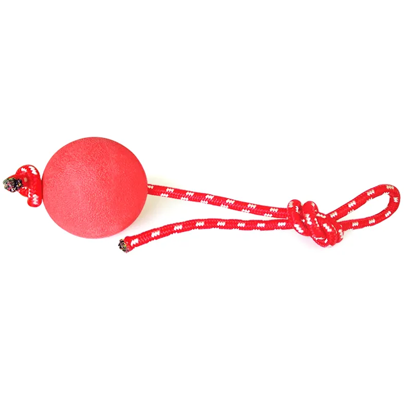 Dog toy solid elastic pet training toy ball molars large dog rubber bite resistant ball