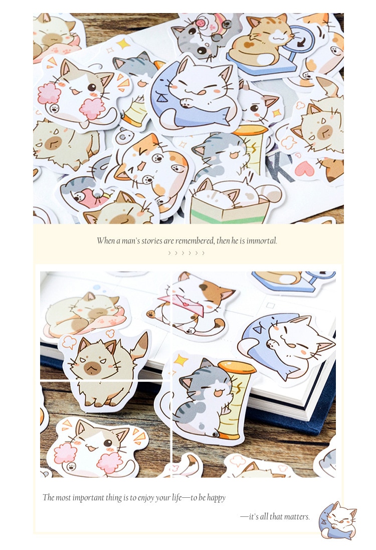 Kawaii Kitty Sticker Box 45Pcs for Journal, Scrapbook