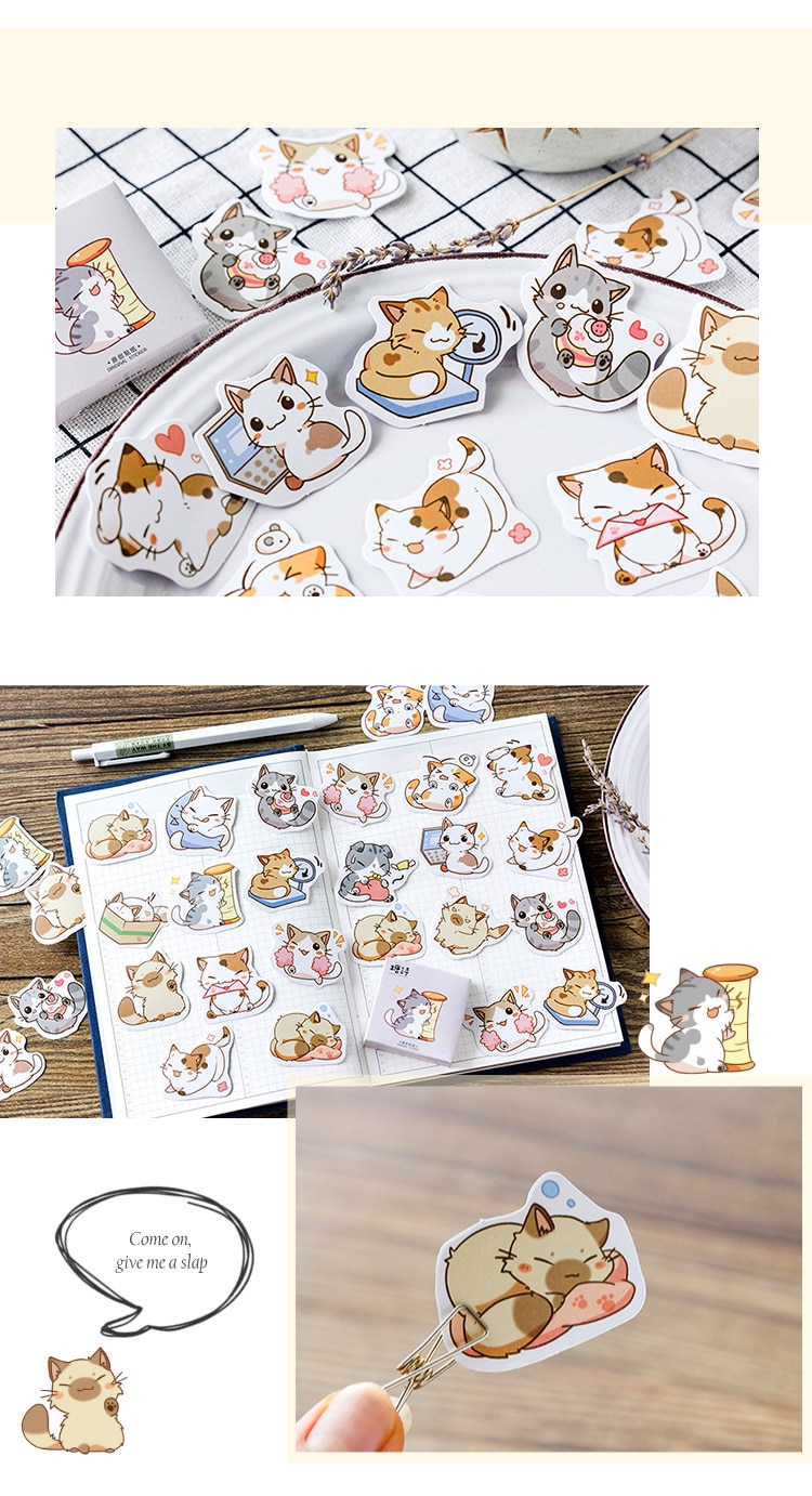 Kawaii Kitty Sticker Box 45Pcs for Journal, Scrapbook