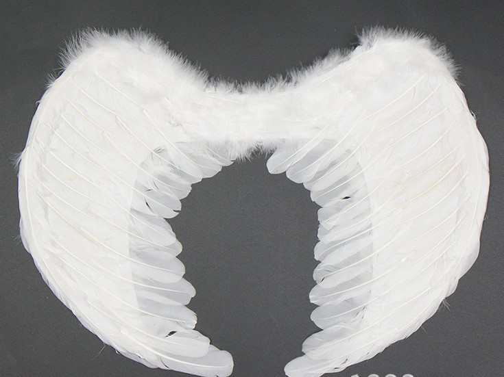 Title 2, Feather angel wings