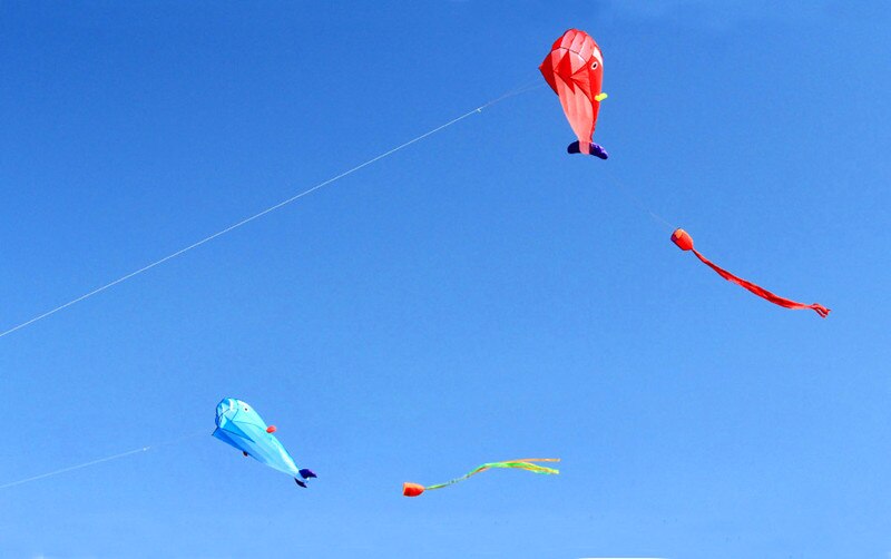 Red Dolphin Kite in the Sky