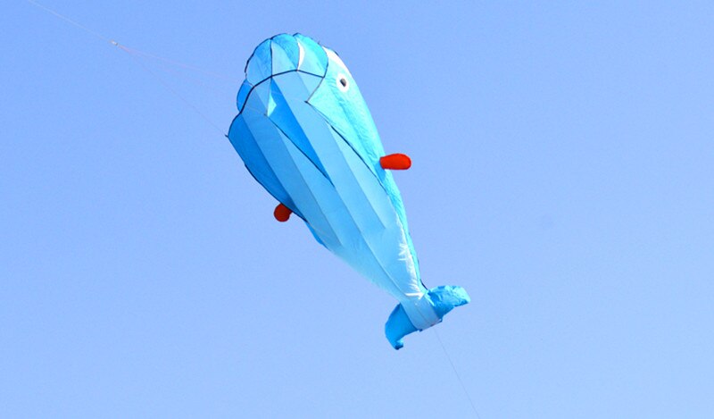 Blue Dolphin Kite in the Sky Side View