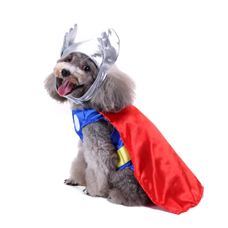 Title 12, Creative Halloween and Christmas pet clothes fo...