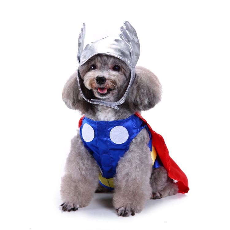 Title 14, Creative Halloween and Christmas pet clothes fo...