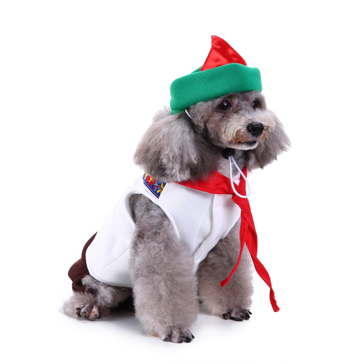 Title 48, Creative Halloween and Christmas pet clothes fo...