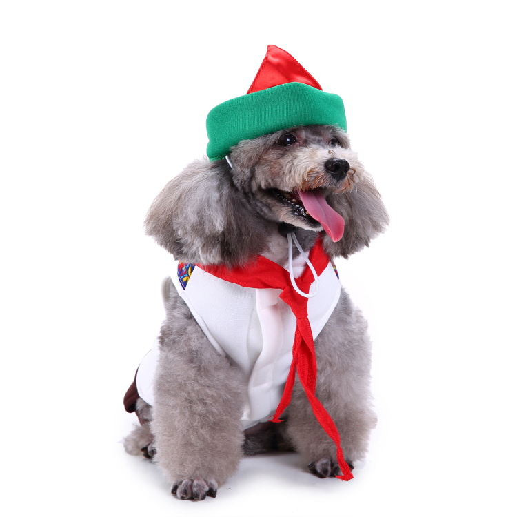 Title 49, Creative Halloween and Christmas pet clothes fo...