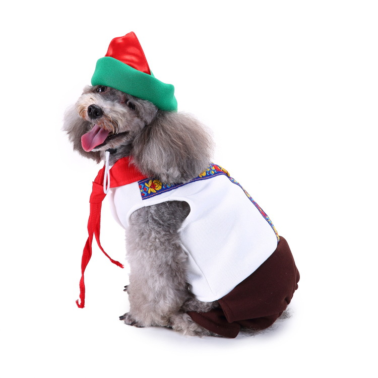 Title 53, Roupas criativas de Natal e Halloween para cães...