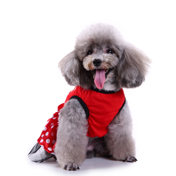 Title 61, Creative Halloween and Christmas pet clothes fo...