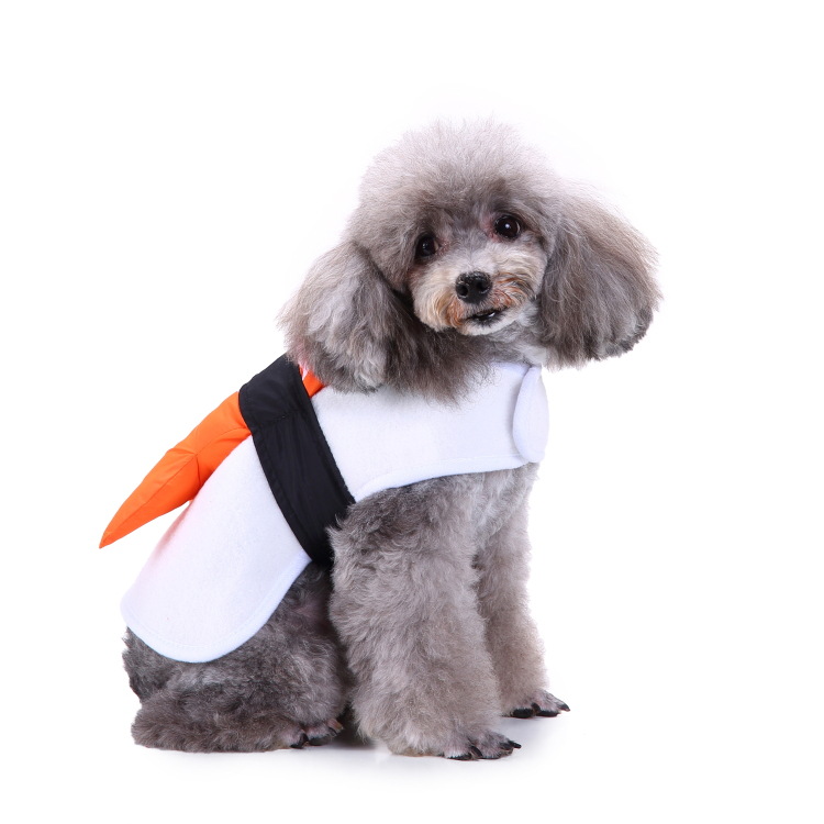 Title 143, Creative Halloween and Christmas pet clothes fo...