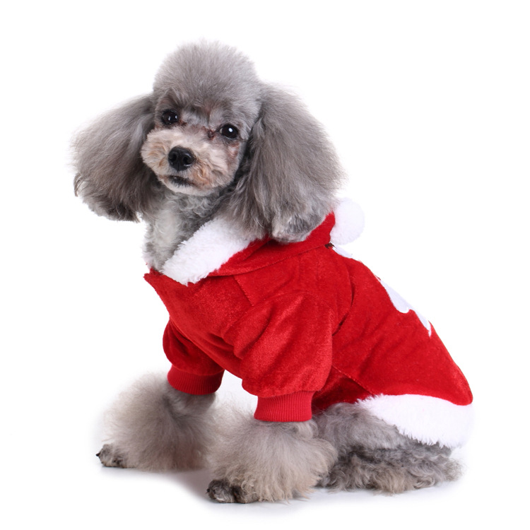 Title 169, Creative Halloween and Christmas pet clothes fo...