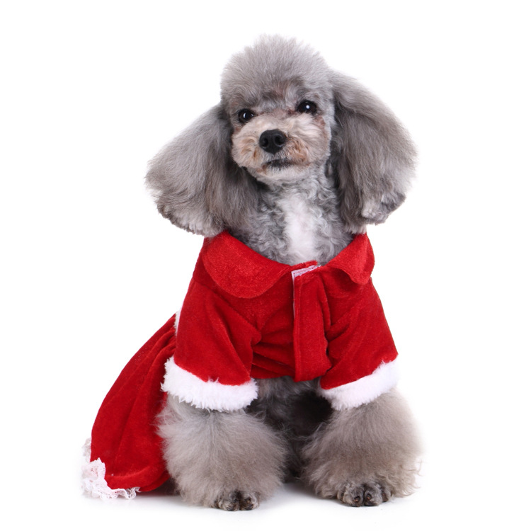 Title 171, Creative Halloween and Christmas pet clothes fo...