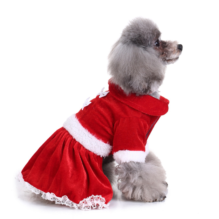 Title 172, Creative Halloween and Christmas pet clothes fo...