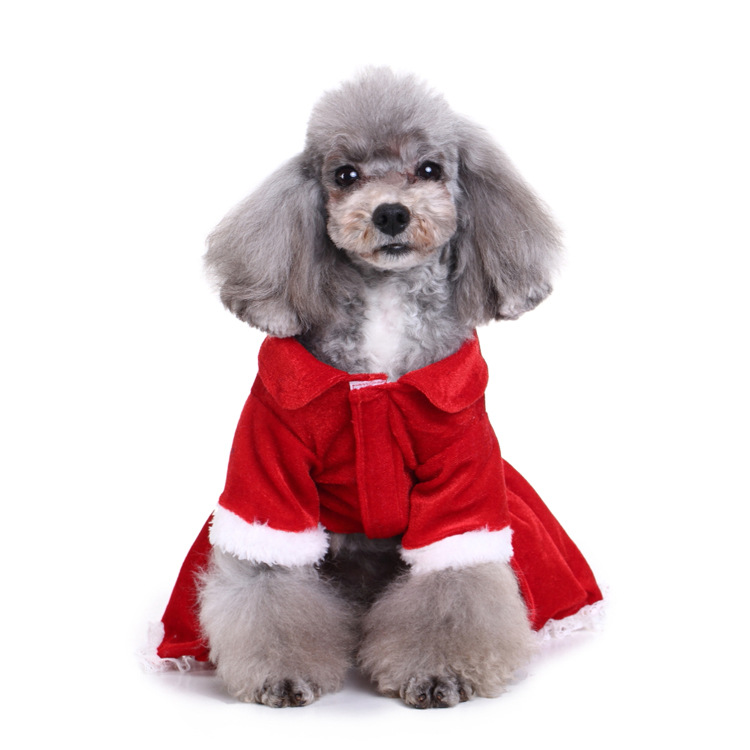 Title 176, Creative Halloween and Christmas pet clothes fo...