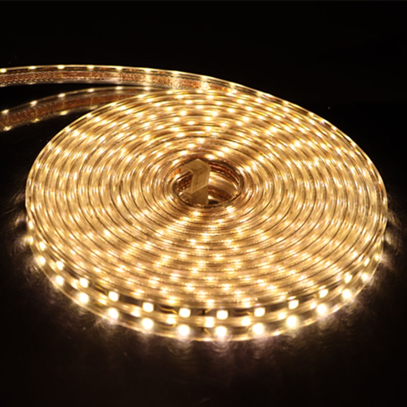 Title 8, High voltage lamp belt providing powerful and s...