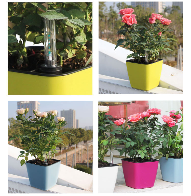 Title 2, Smart absorbent plastic flower pot. Grow health...