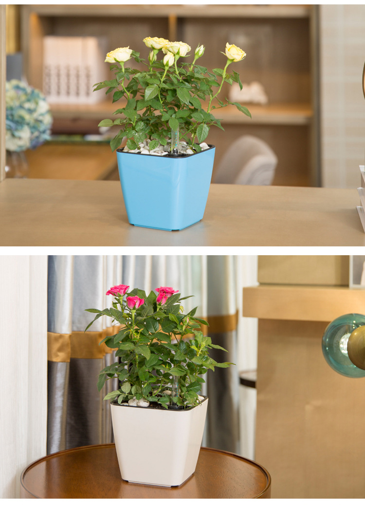 Title 4, Smart absorbent plastic flower pot. Grow health...