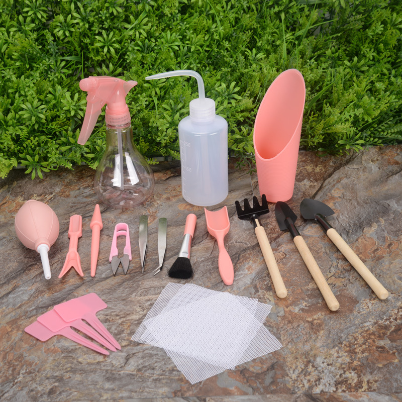 Title 1, Succulent planting tool combination set