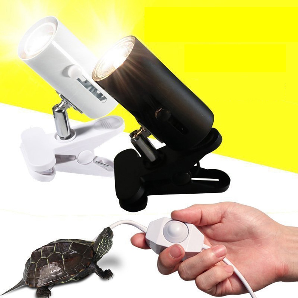 Title 1, Adjustable and stable reptile light stand for t...