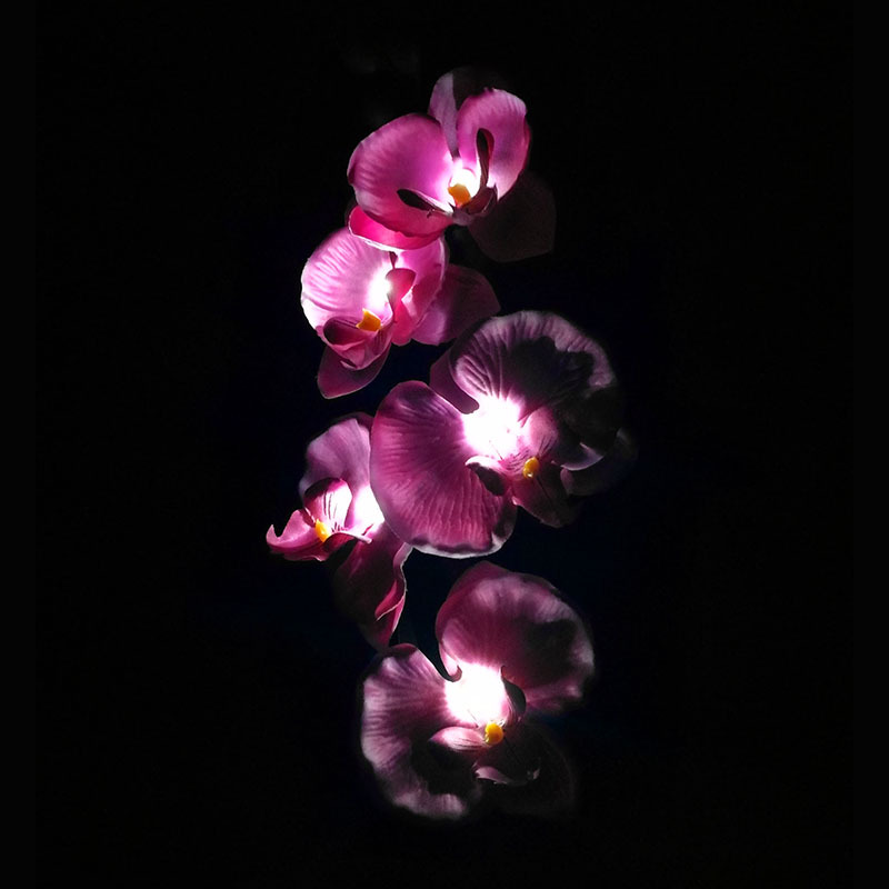 Title 6, Luz Solar Externa com 5 Flores LED Phalaenopsis...