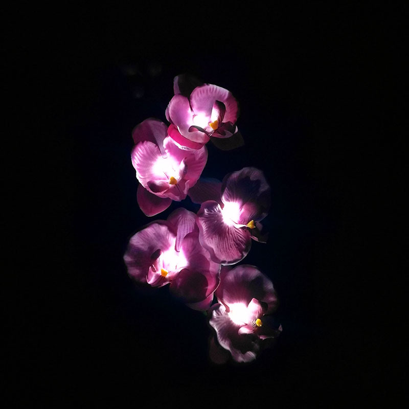 Title 7, Luz Solar Externa com 5 Flores LED Phalaenopsis...