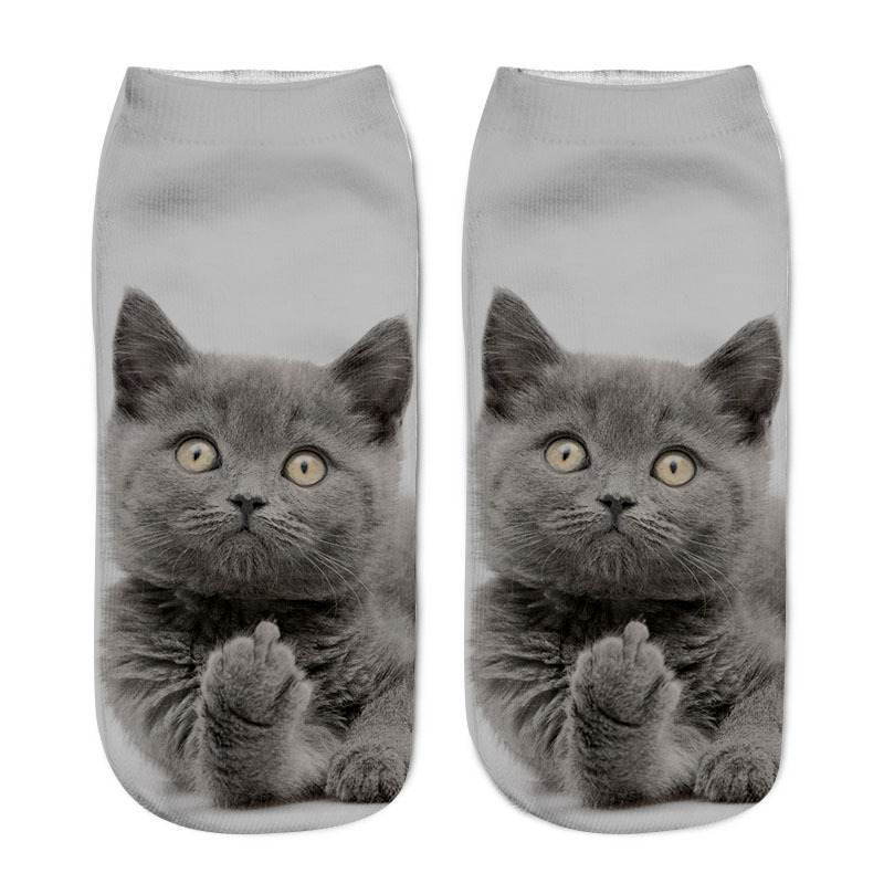 Title 2, Various Cat Socks